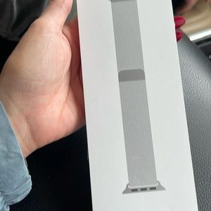 Apple Watch 41mm Silver Milanese Loop